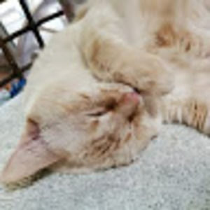 Meet your Posher, Shaylee